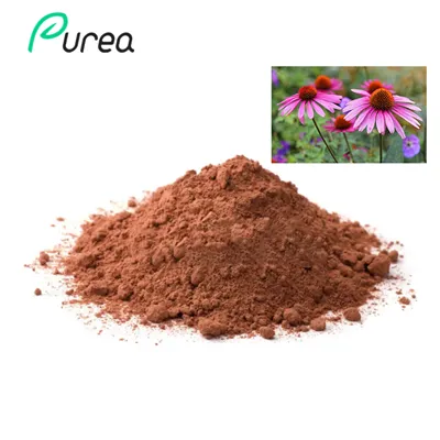 Bulk Echinacea ekstrakt pulver